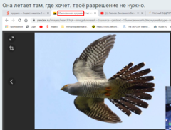 1586971973536.png