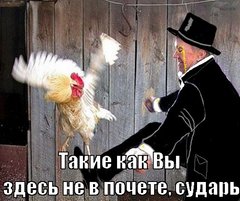oCiAiOQGIqs.jpg