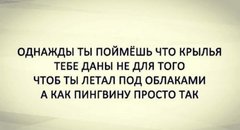 13844939.jpg 13844939.jpg