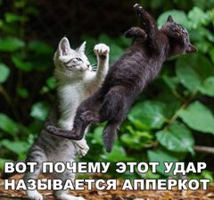 12207061.jpg 12207061.jpg