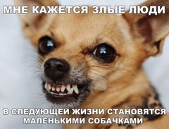 14442764.jpg 14442764.jpg