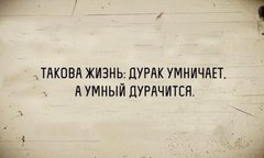 13311858.jpg 13311858.jpg