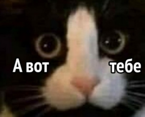 Вот тебе.png