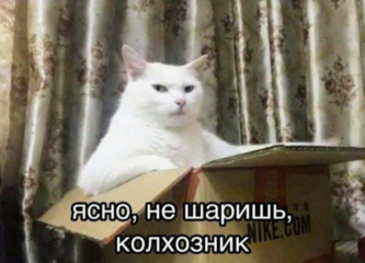Screenshot_19.png
