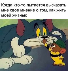 15602075.jpg