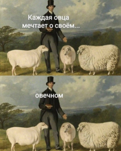 1623008941585.png