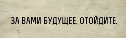 15008295.jpg