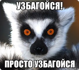 15614696.jpg