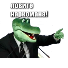 15685530.png 15685530.png