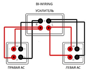 биваринг.jpg