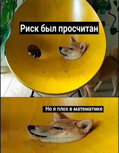 15980344.jpg