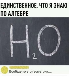 15884231.jpg
