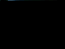 BrainSA.gif