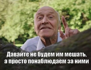 Сенкевич_В мире животных.jpeg